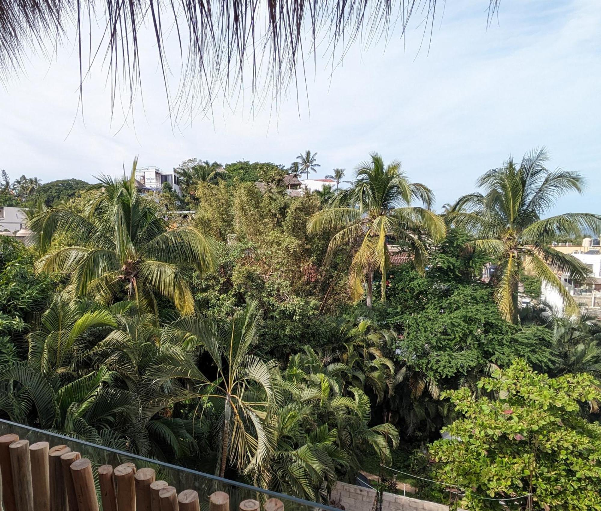 Casa Pepe Hotel Sayulita Ngoại thất bức ảnh